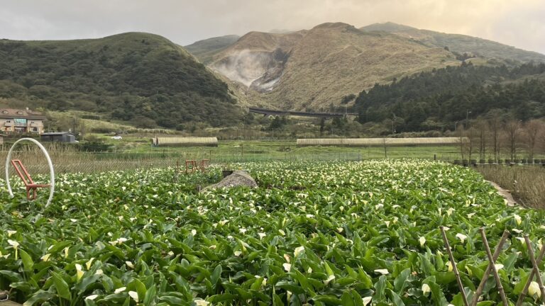 陽明山國家公園：成立原因與歷史