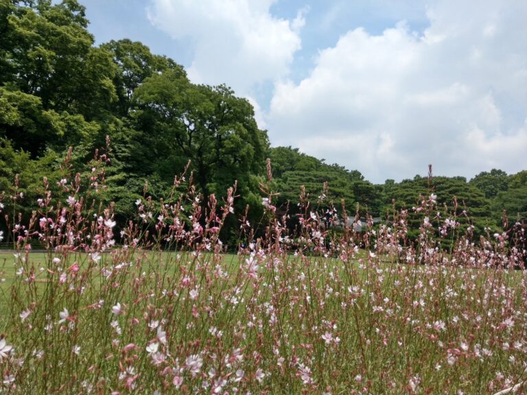 少年來了：從首爾之春到光州事件迎向軍隊的人們