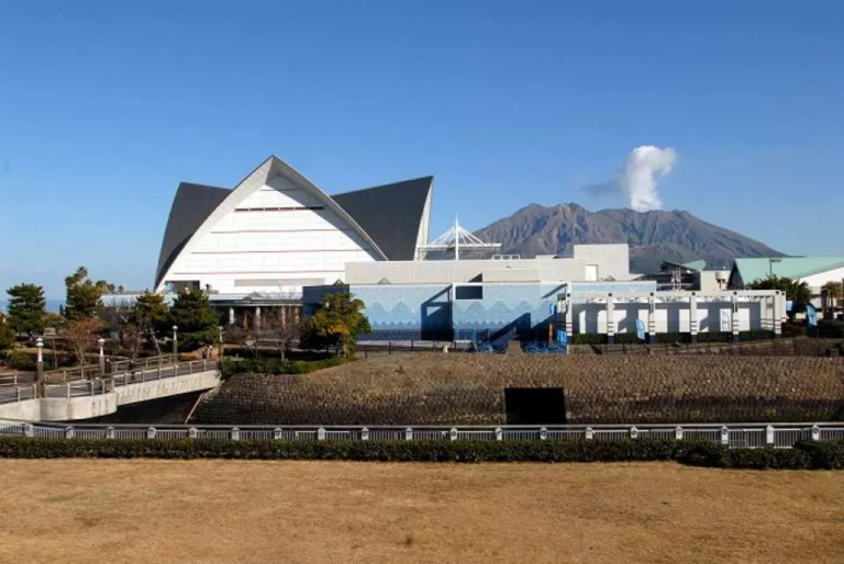 鹿兒島水族館：門票票價、海豚表演時間＆參觀心得