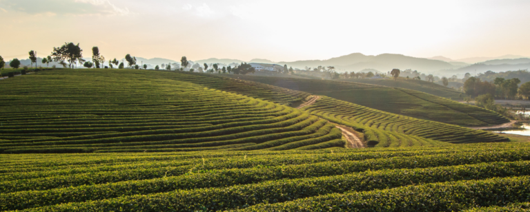 清萊一日遊：白廟、藍廟等 19 個清萊景點推薦＆介紹