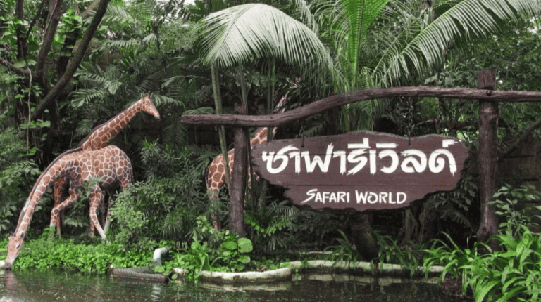 Safari World Bangkok: 賽佛瑞野生動物園 交通、門票、動物餵食費用&表演時間表